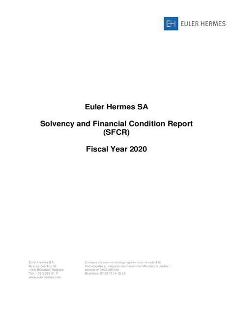 euler hermes financial statements 2020